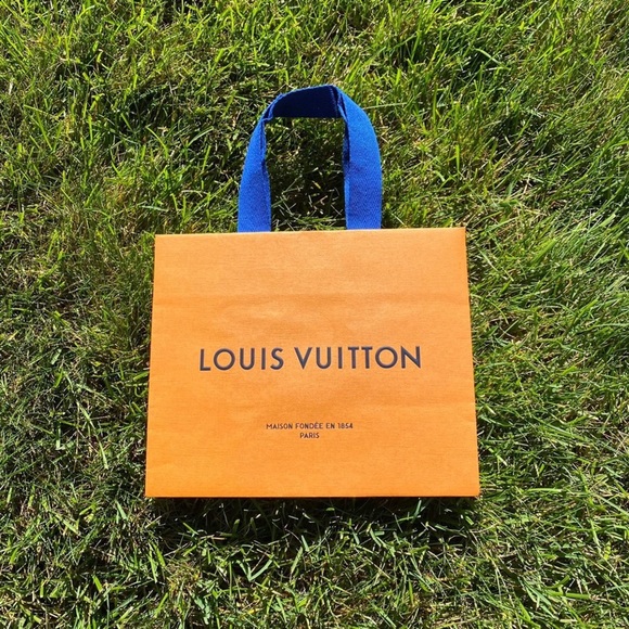 Louis Vuitton Other - Louis Vuitton Store Bag